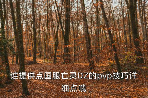 谁提供点国服亡灵DZ的pvp技巧详细点哦