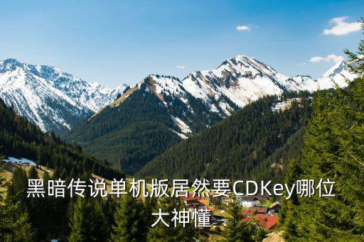 黑暗传说单机版居然要CDKey哪位大神懂