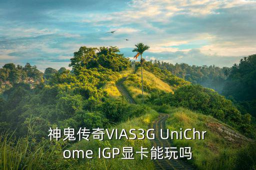 神鬼传奇VIAS3G UniChrome IGP显卡能玩吗