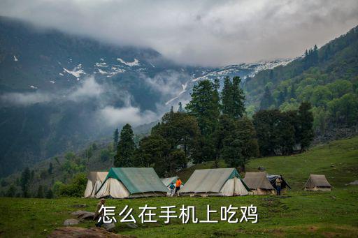 怎么在手机上吃鸡