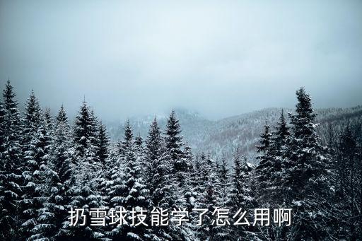 英雄联盟手游雪球技能怎么用，小雪球怎么用