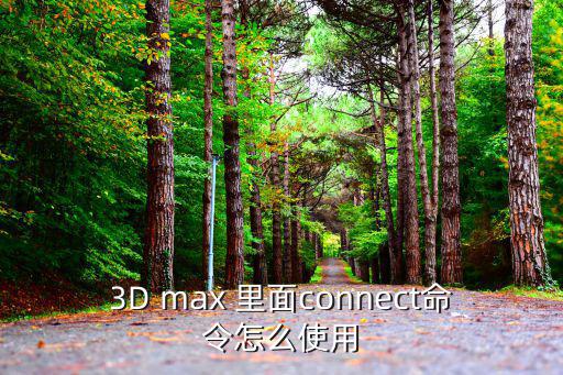 3D max 里面connect命令怎么使用