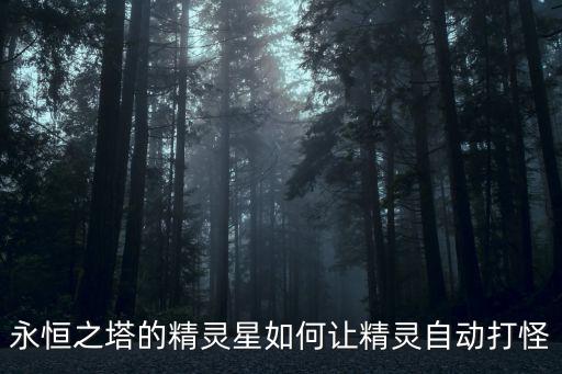 永恒之塔的精灵星如何让精灵自动打怪