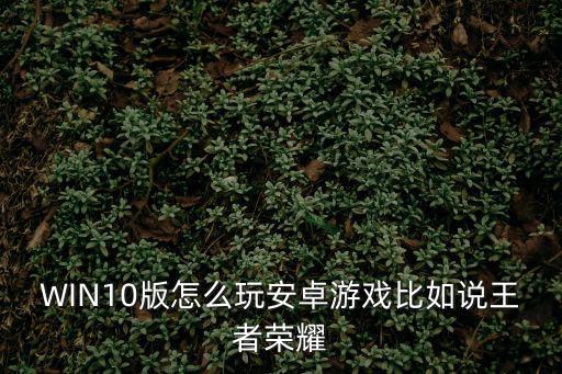 从零开始手游安卓系统怎么玩，如何用低版本的安卓系统玩高版本的游戏