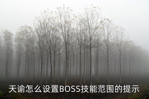 天谕怎么设置BOSS技能范围的提示