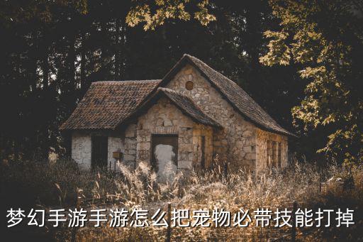 梦幻手游手游怎么把宠物必带技能打掉