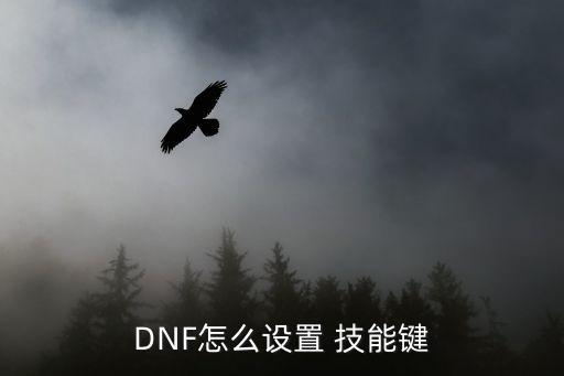 DNF怎么设置 技能键