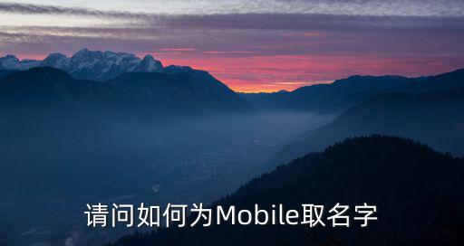 请问如何为Mobile取名字