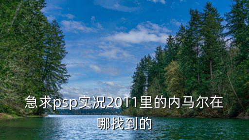 急求psp实况2011里的内马尔在哪找到的