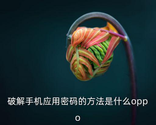 破解手机应用密码的方法是什么oppo