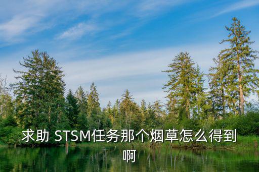 求助 STSM任务那个烟草怎么得到啊