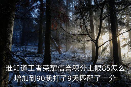 谁知道王者荣耀信誉积分上限85怎么增加到90我打了9天匹配了一分