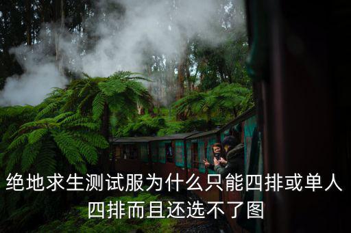 pubgm手游单排怎么排不到人，刺激战场 单人四排为什么就随不到队友