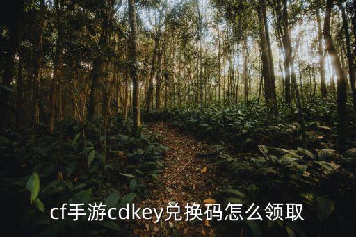 cf手游cdkey兑换码怎么领取