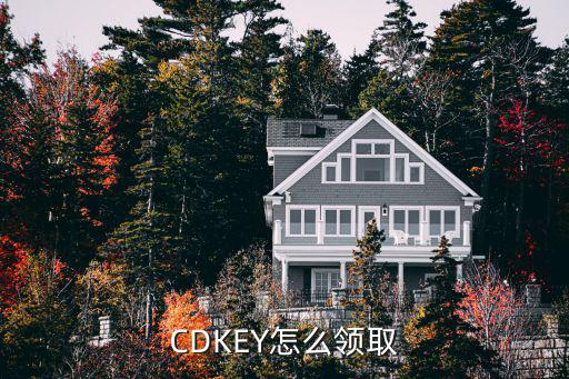 CDKEY怎么领取