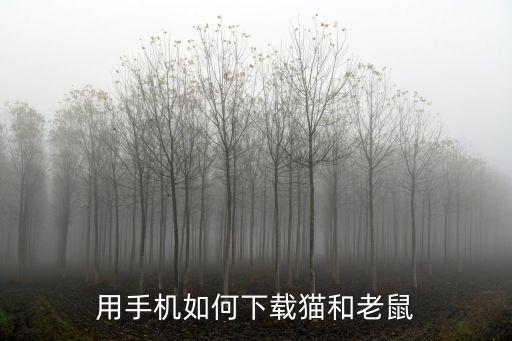 用手机如何下载猫和老鼠