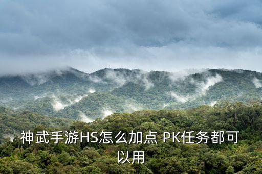 神武手游HS怎么加点 PK任务都可以用