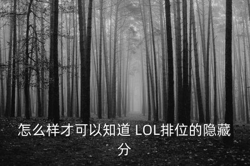 怎么样才可以知道 LOL排位的隐藏分