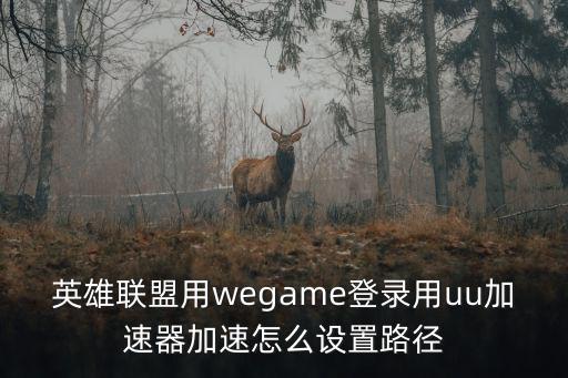 英雄联盟手游怎么加速匹配，英雄联盟用wegame登录用uu加速器加速怎么设置路径