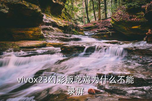 vivox23幻彩版吃鸡为什么不能录屏