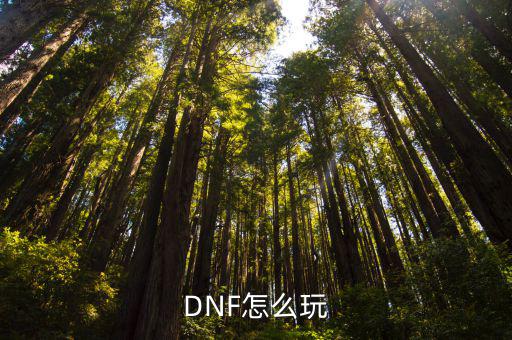 DNF怎么玩