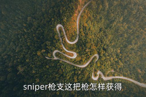 sniper枪支这把枪怎样获得