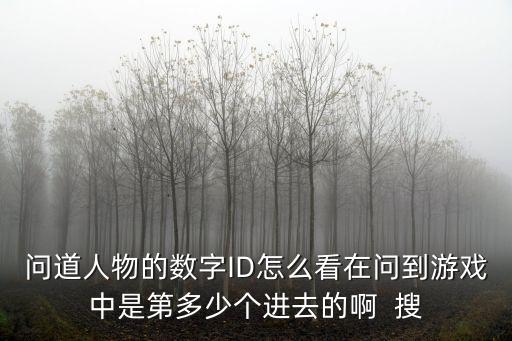 问道人物的数字ID怎么看在问到游戏中是第多少个进去的啊  搜