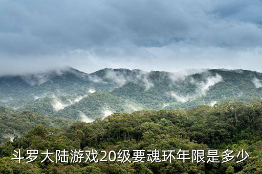 斗罗大陆游戏20级要魂环年限是多少