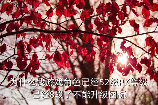 天刀手游52级不升级了怎么回事，为什么我游戏角色已经52级PK等级已经8段了不能升级图标