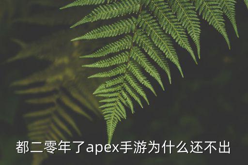 apex手游怎么下国服，APEX英雄为啥没有国服可以直接下载玩海外服务吗