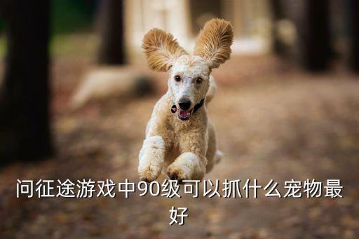 问征途游戏中90级可以抓什么宠物最好