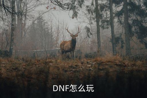 DNF怎么玩