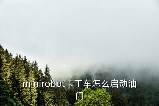 minirobot卡丁车怎么启动油门