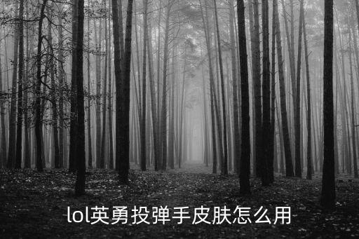 lol英勇投弹手皮肤怎么用