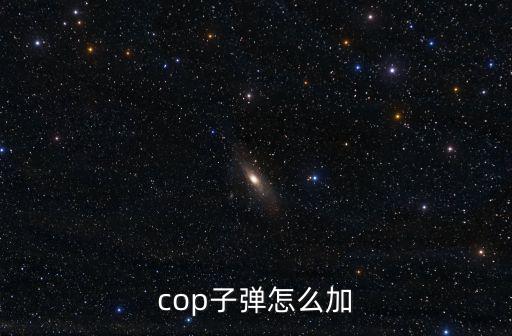 cop子弹怎么加