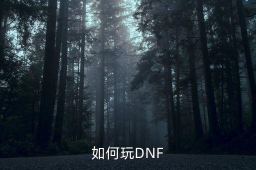 如何玩DNF