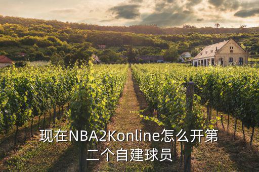 手游2k20联机怎么用自创球员，现在NBA2Konline怎么开第二个自建球员