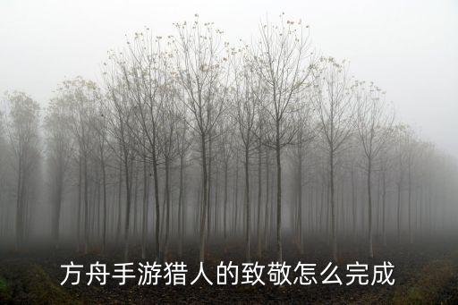 方舟手游猎人的致敬怎么完成