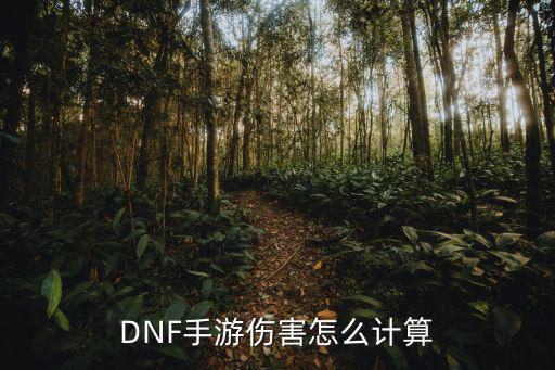 DNF手游伤害怎么计算