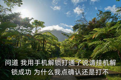 问道手游宝宝被锁怎么解锁，问道 我用手机解锁打通了说请挂机解锁成功 为什么我点确认还是打不