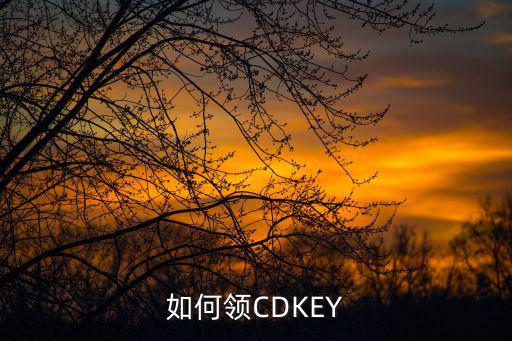 韩服手游cdk怎么领取，如何领CDKEY