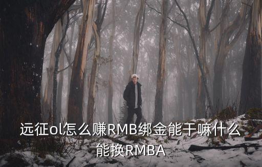 远征ol怎么赚RMB绑金能干嘛什么能换RMBA