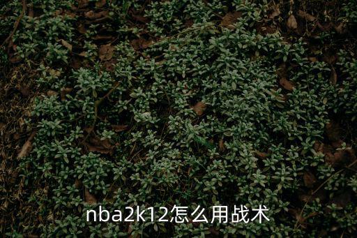 nba2k12怎么用战术