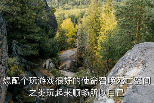 想配个玩游戏很好的使命召唤死亡空间之类玩起来顺畅所以自己