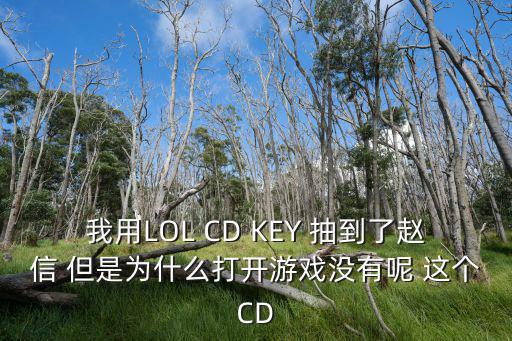 我用LOL CD KEY 抽到了赵信 但是为什么打开游戏没有呢 这个CD