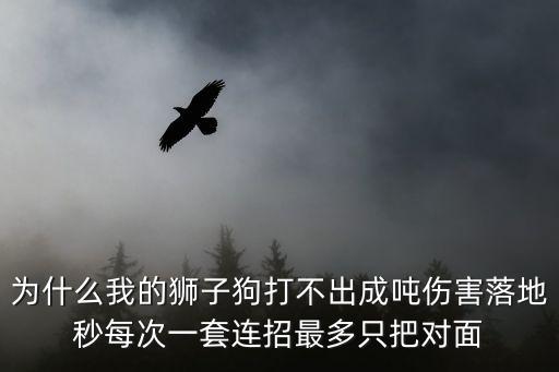 为什么我的狮子狗打不出成吨伤害落地秒每次一套连招最多只把对面