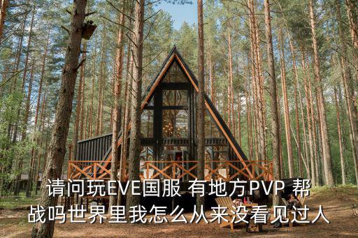 请问玩EVE国服 有地方PVP 帮战吗世界里我怎么从来没看见过人