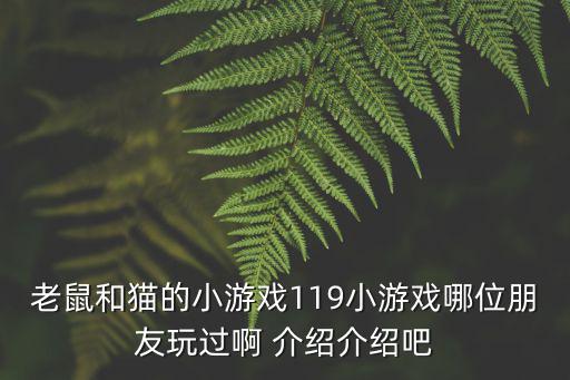 老鼠和猫的小游戏119小游戏哪位朋友玩过啊 介绍介绍吧