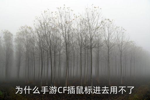 为什么手游CF插鼠标进去用不了