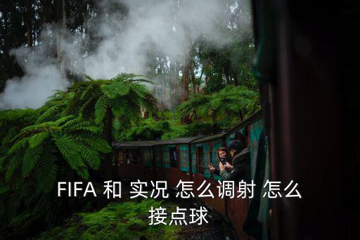 FIFA 和 实况 怎么调射 怎么接点球